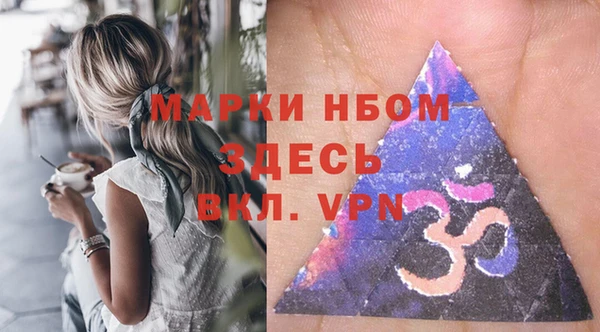 молекула духа Балахна