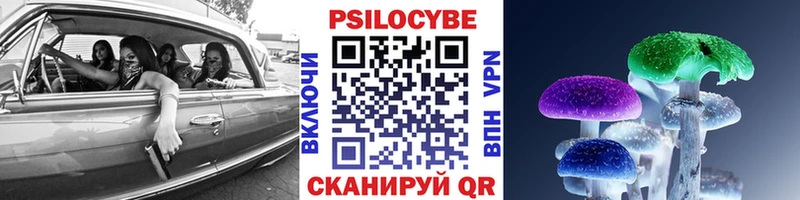 купить наркотик  Вязники  kraken ссылки  Псилоцибиновые грибы GOLDEN TEACHER 
